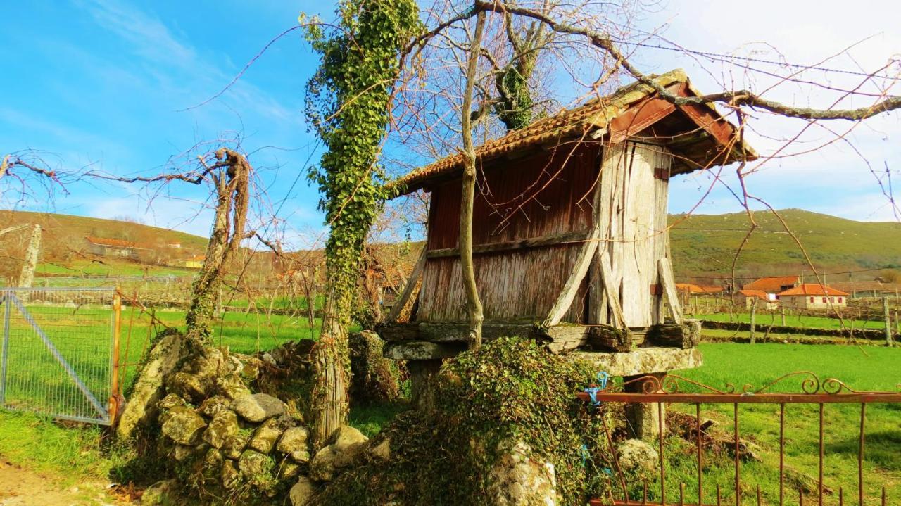 Boticas Parque Natur Houses Exteriér fotografie